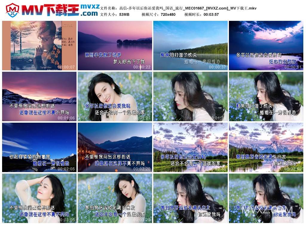 高信-多年以后你还爱我吗_国语_流行_MEC01667